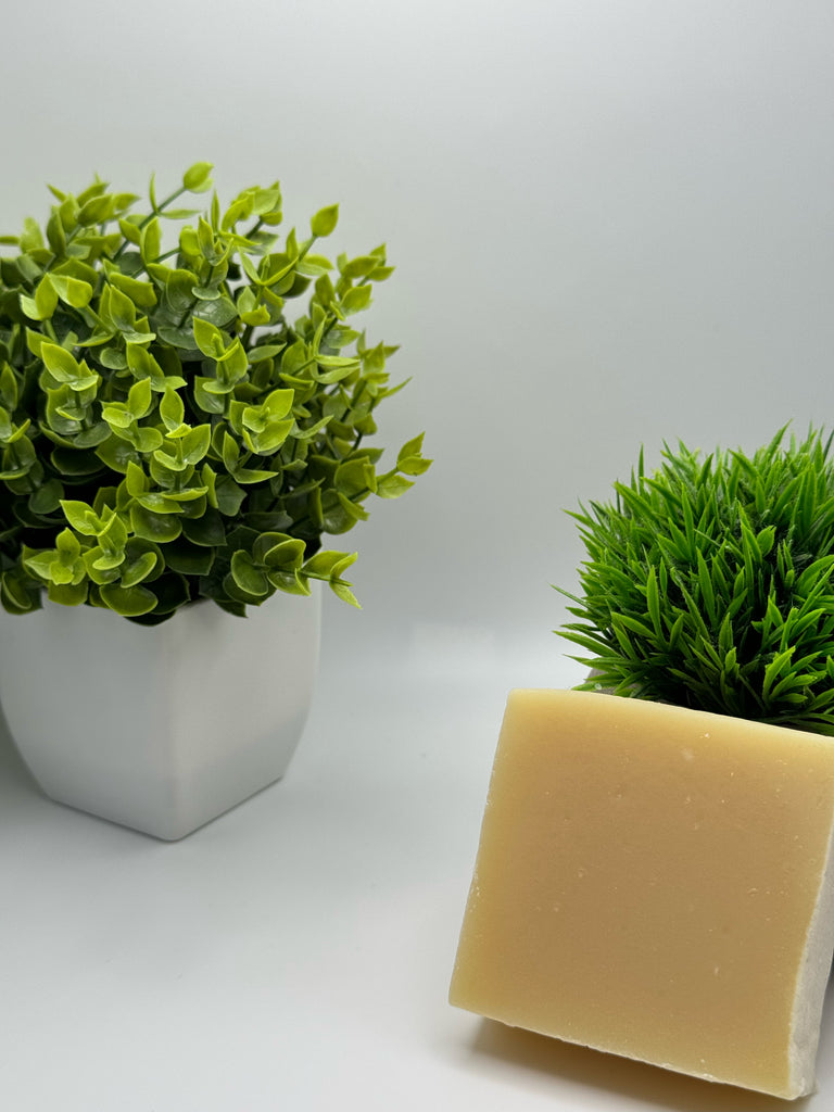 Natural Citrus Soap image 3