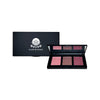 Blush Palettes image 2
